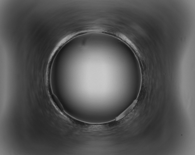 X0000086721477200704131033