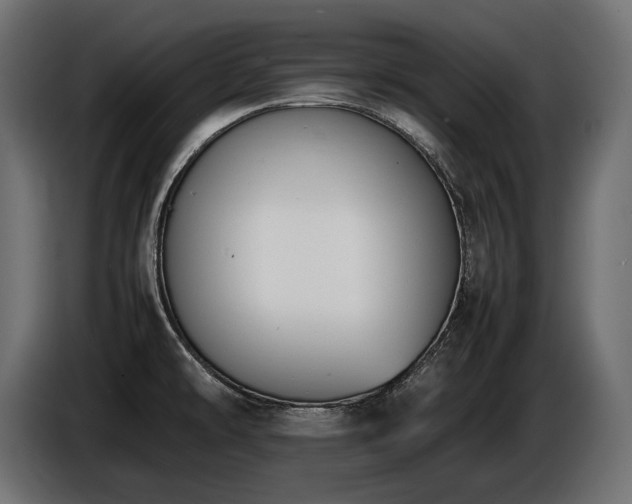 X0000086721478200704131033