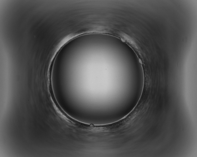 X0000086721479200704131033