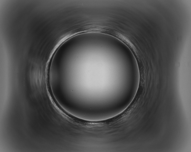 X0000086721483200704131032
