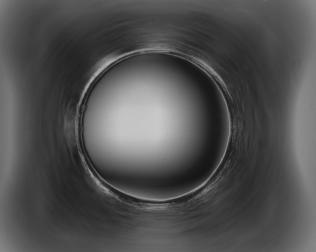 X0000086721484200704131032