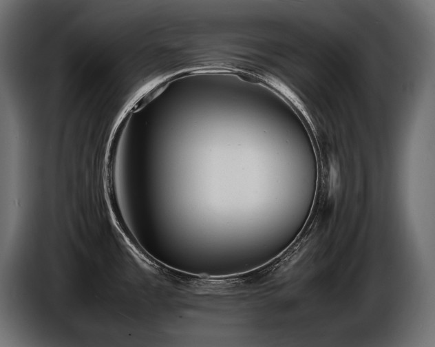 X0000086721485200704131032
