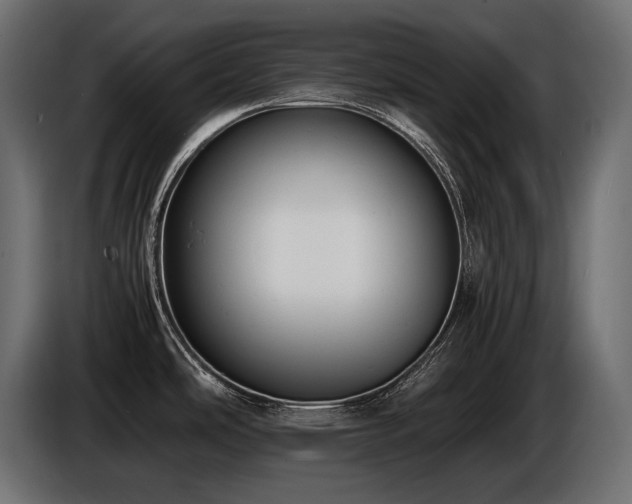 X0000086721486200704131032