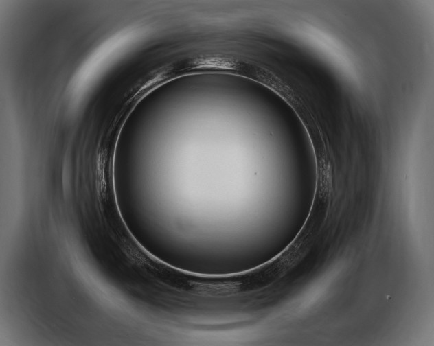 X0000086721487200704131032