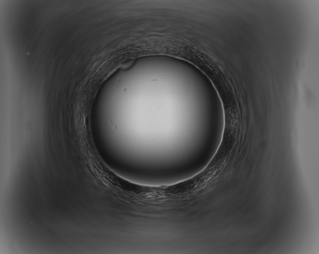 X0000086721489200704131032