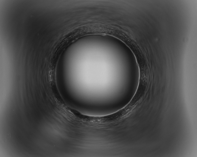 X0000086721490200704131032