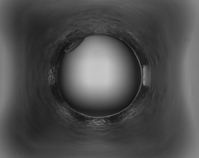 X0000086721491200704131032