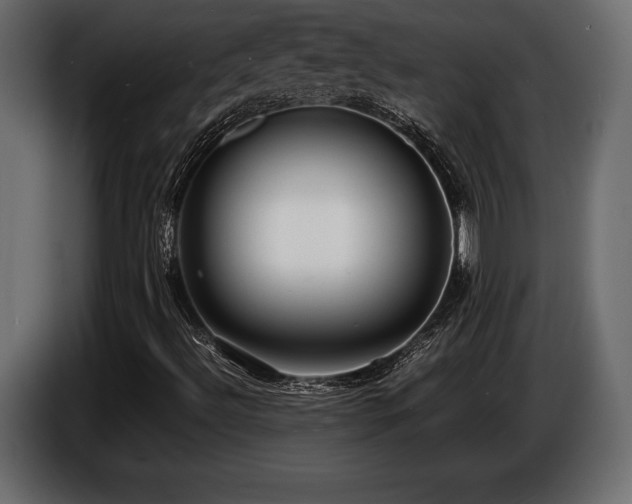 X0000086721492200704131032