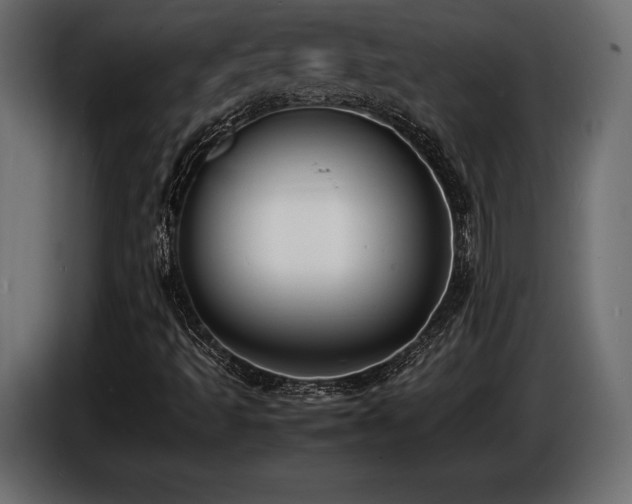 X0000086721493200704131032