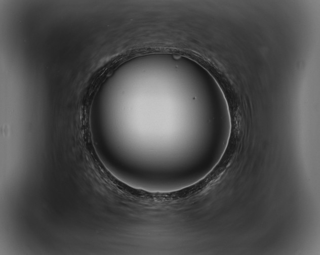 X0000086721494200704131032
