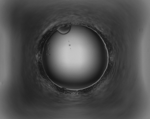 X0000086721495200704131032