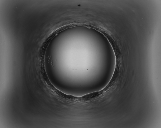 X0000086721496200704131032