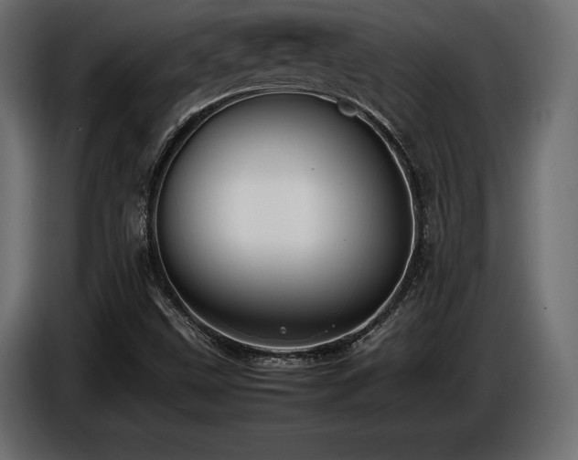 X0000086721499200704131032