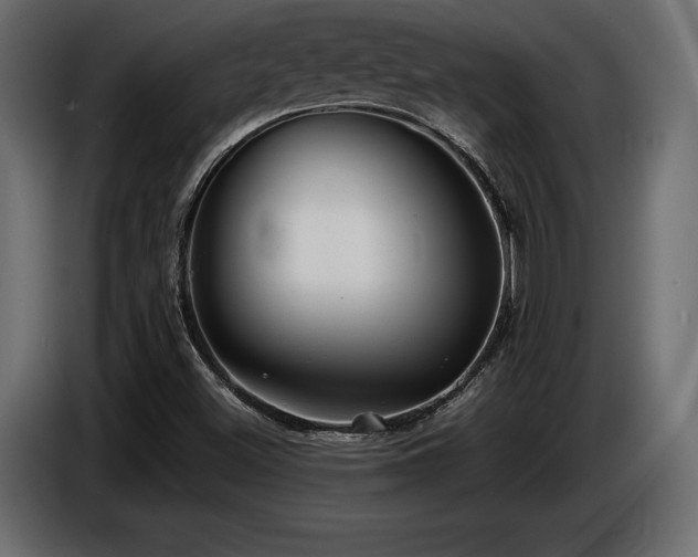 X0000086721500200704131032