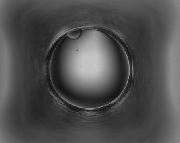 X0000086721501200704131032