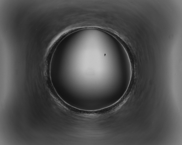 X0000086721502200704131032
