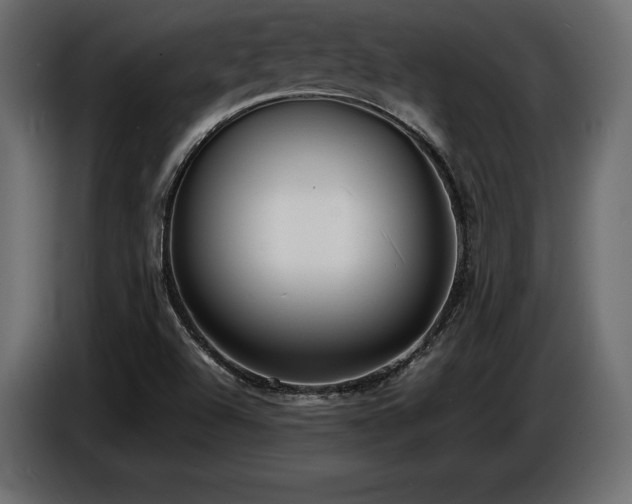 X0000086721504200704131032