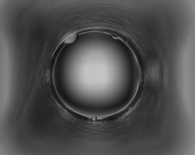 X0000086721505200704131032