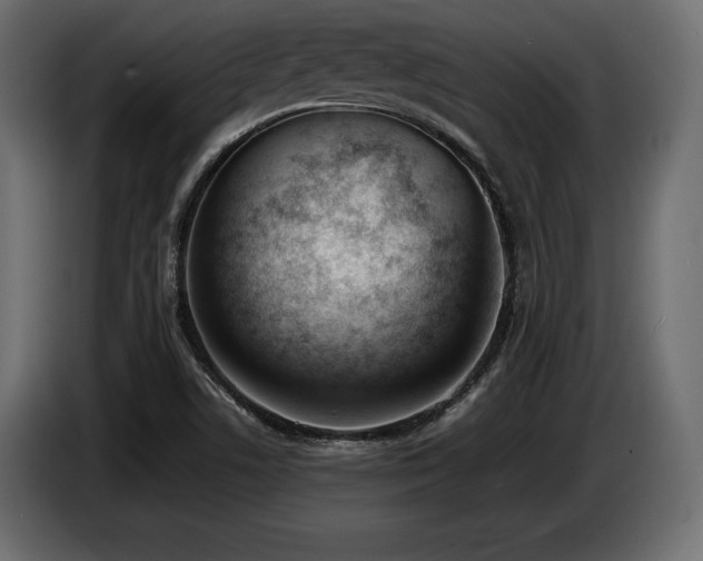 X0000086721506200704131032