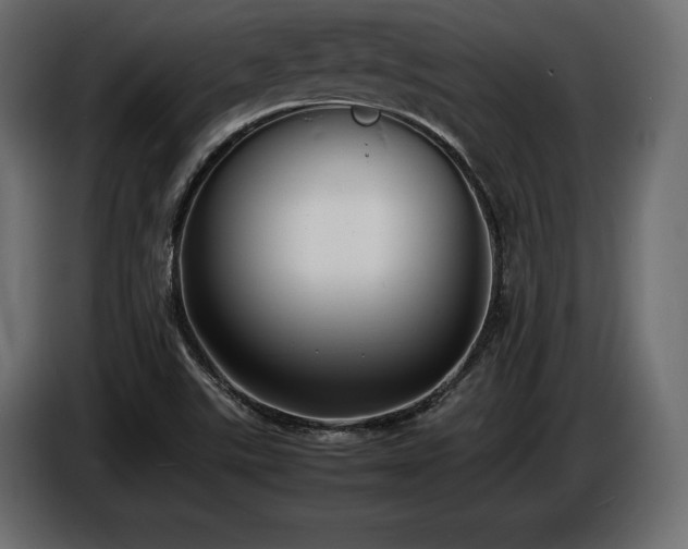 X0000086721507200704131032