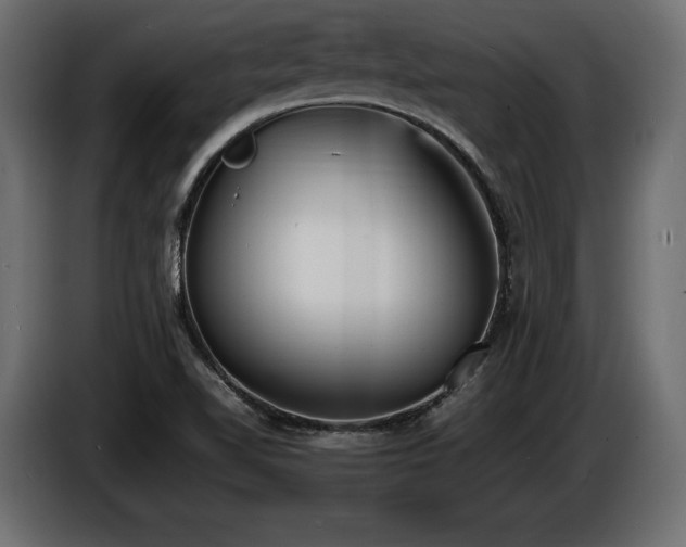 X0000086721510200704131032