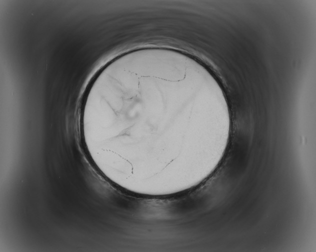 X0000086721514200704131032