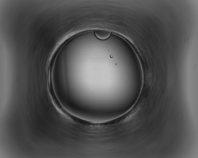 X0000086721515200704131032