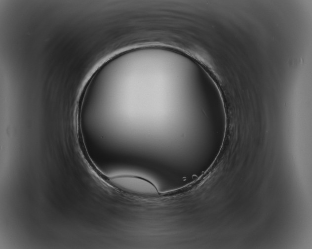 X0000086721516200704131032