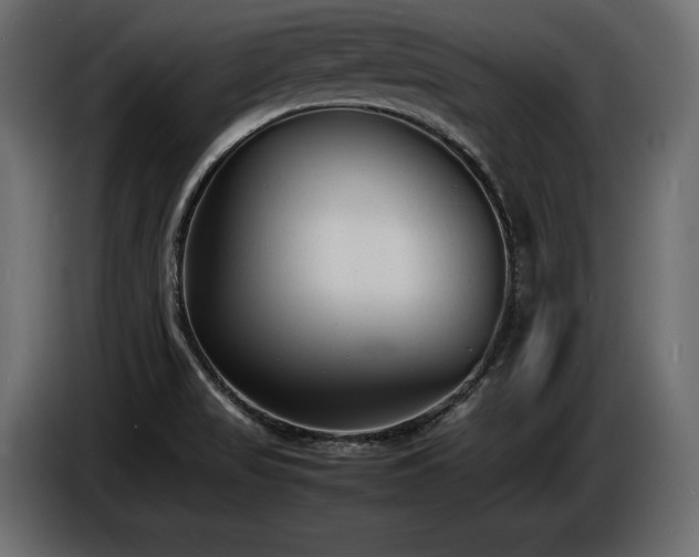 X0000086721517200704131032