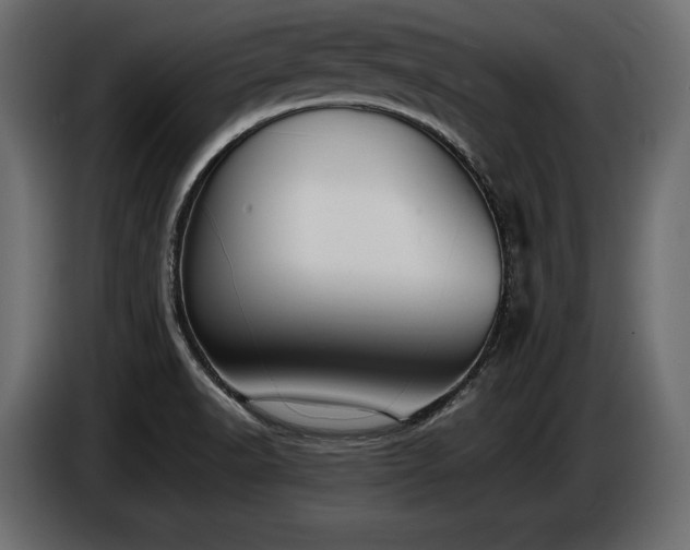 X0000086721518200704131032