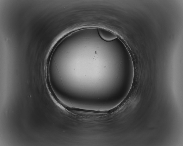 X0000086721519200704131032