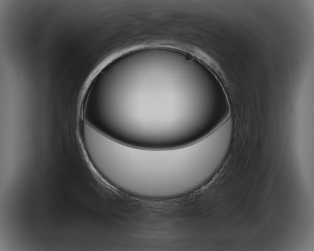 X0000086721520200704131032