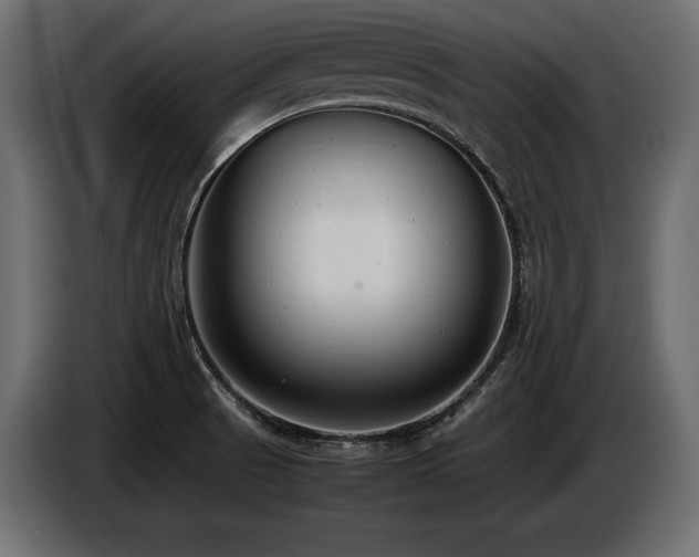 X0000086721521200704131032