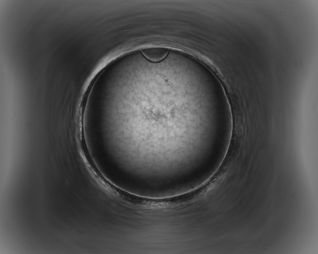 X0000086721522200704131032