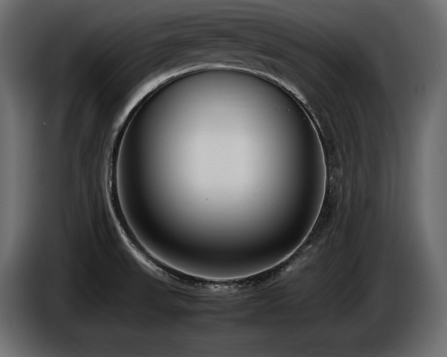 X0000086721523200704131032