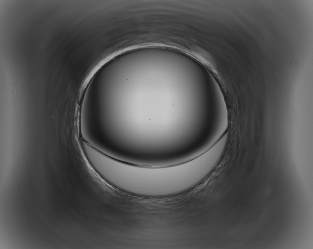 X0000086721524200704131032