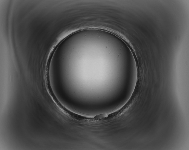 X0000086721525200704131032
