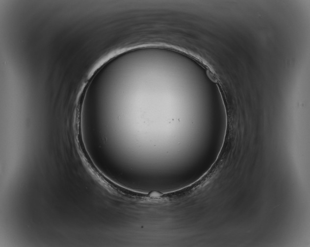 X0000086721526200704131032