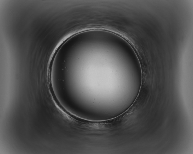 X0000086721527200704131032