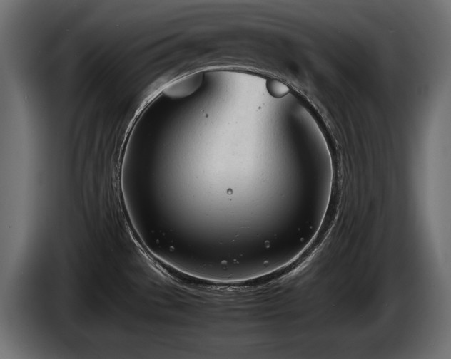 X0000086721529200704131032