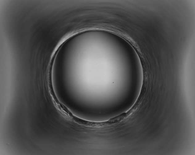 X0000086721530200704131032