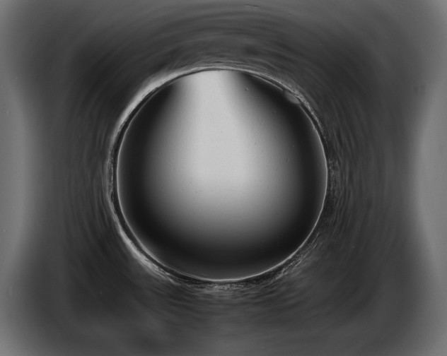 X0000086721531200704131032
