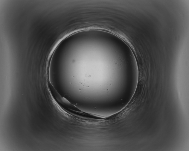 X0000086721532200704131032