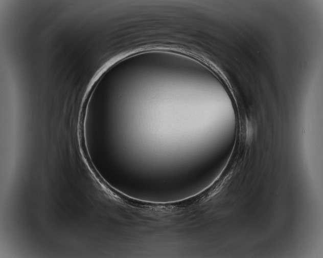 X0000086721533200704131032