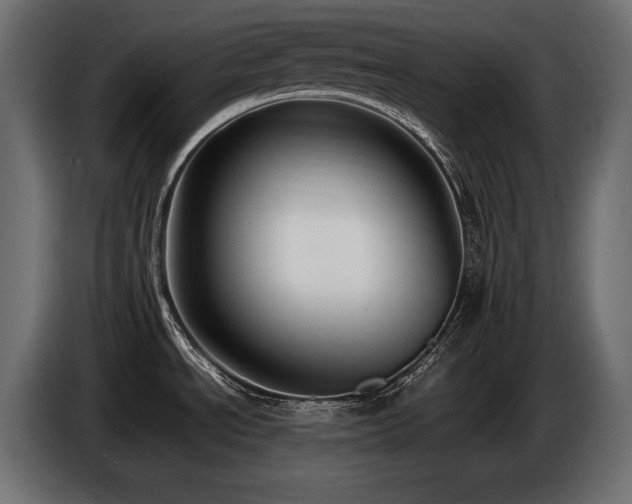 X0000086721534200704131032