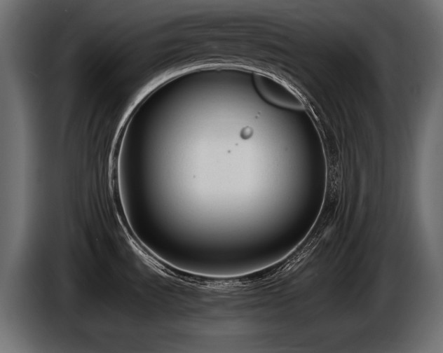 X0000086721535200704131032