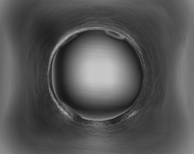 X0000086721536200704131032