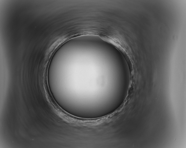 X0000086720001200704201635