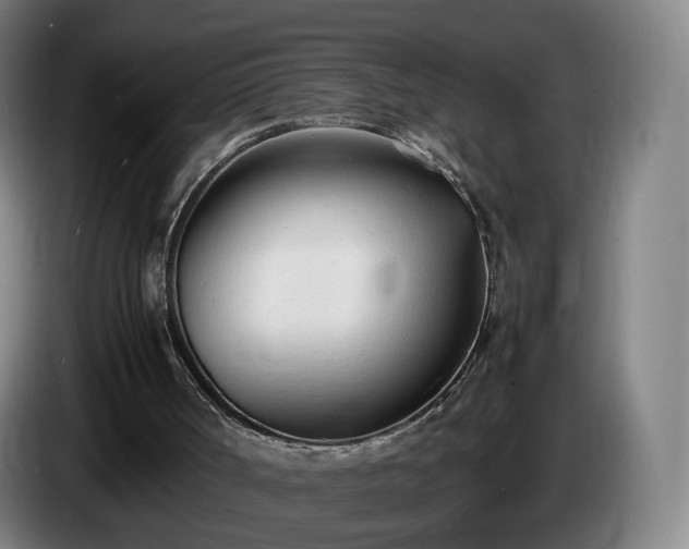 X0000086720002200704201635