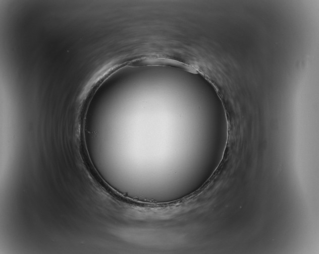 X0000086720005200704201635